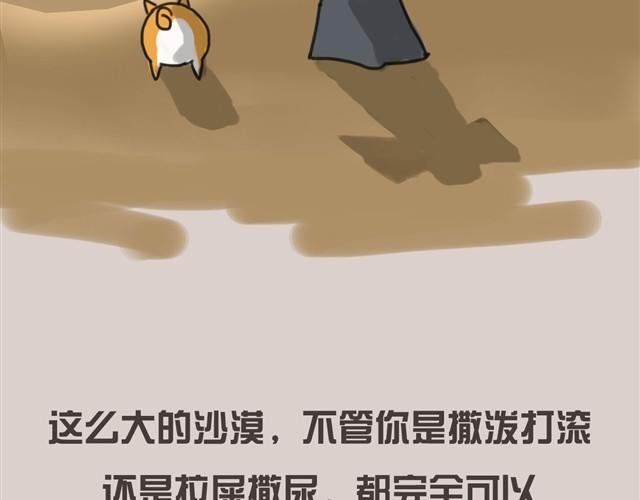 我还是喜欢尿在原来的客厅