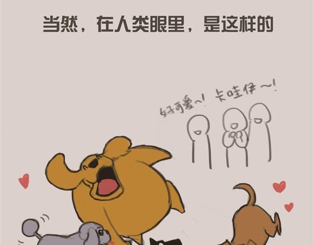 真是越来越活泼了呢