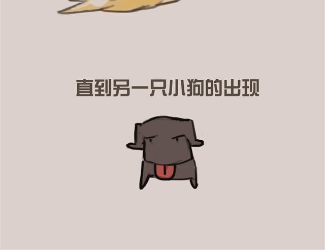 真是越来越活泼了呢