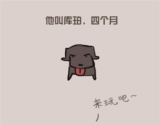 真是越来越活泼了呢