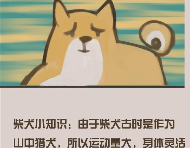 真是越来越活泼了呢