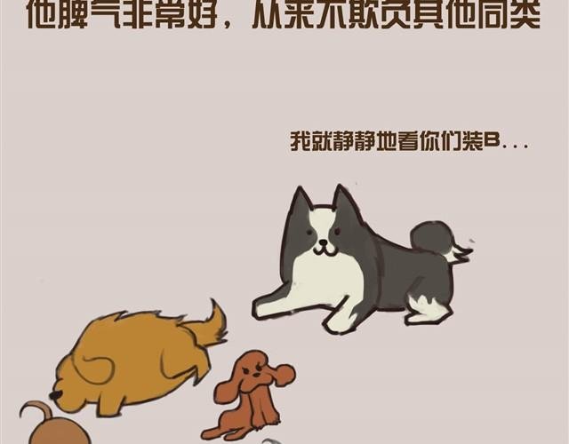 真是越来越活泼了呢