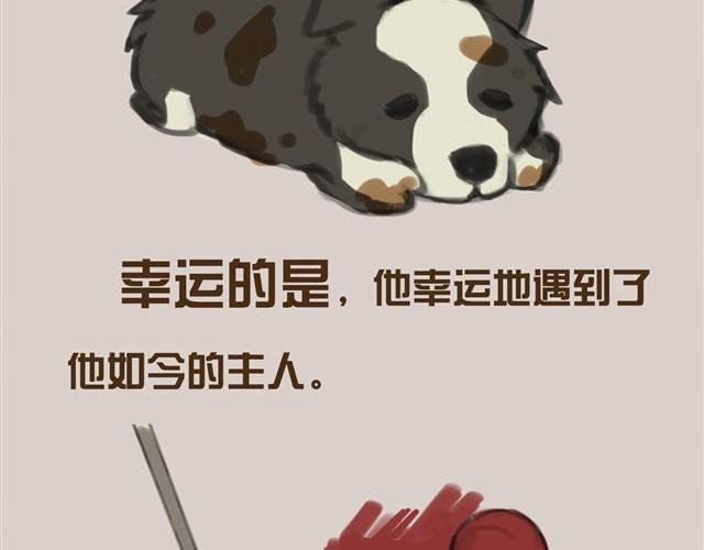 真是越来越活泼了呢