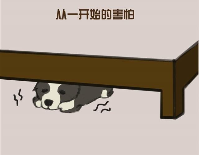 真是越来越活泼了呢