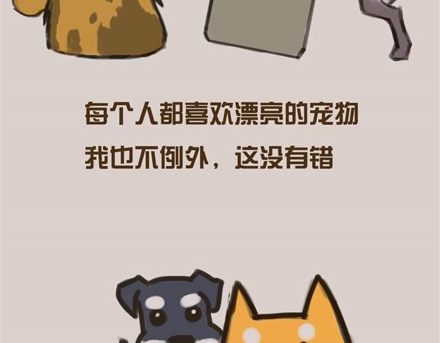 真是越来越活泼了呢