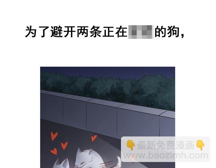 前情提要