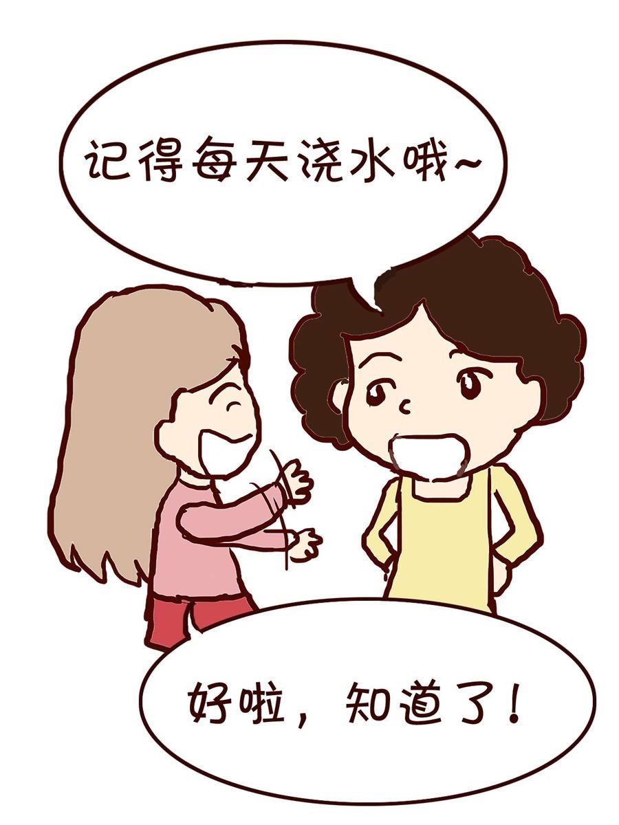 我平凡的每一天 第8集
