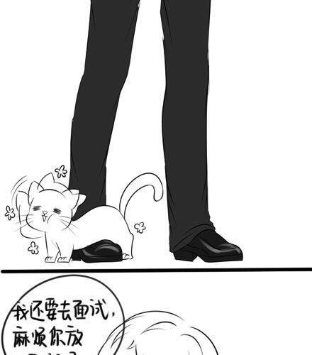 小猫咪，我要上班去啦！