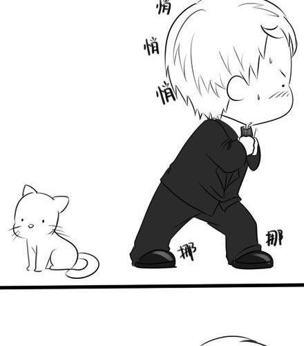 小猫咪，我要上班去啦！