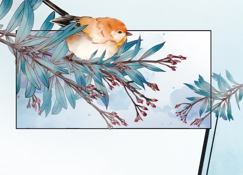 第5话 猫科动物的领地意识