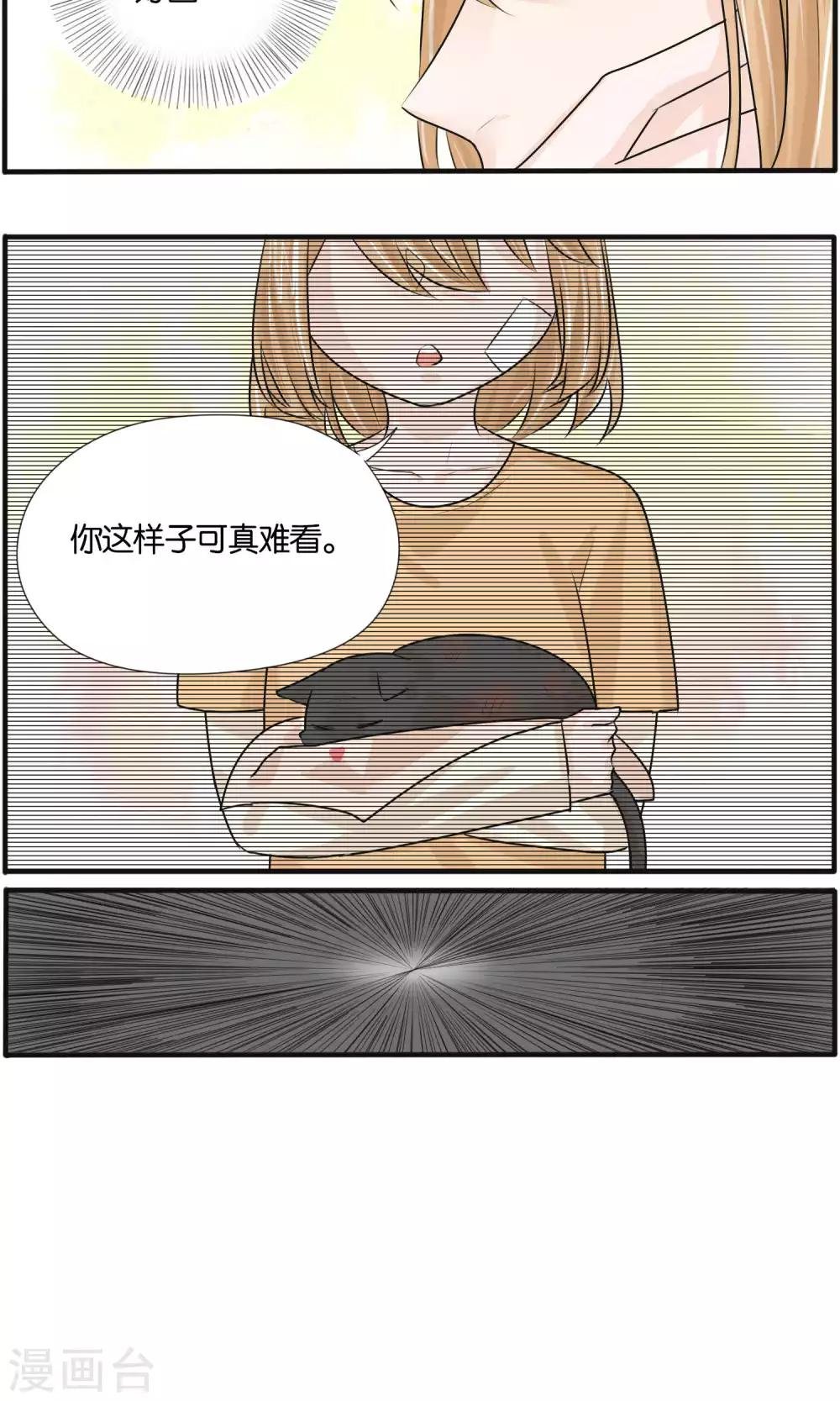 最终话