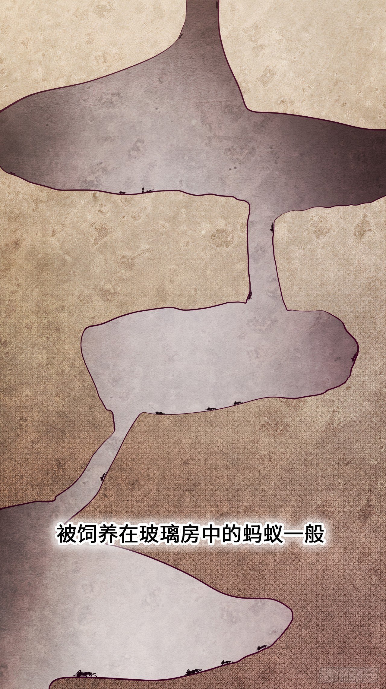 苏轶的饲养-1