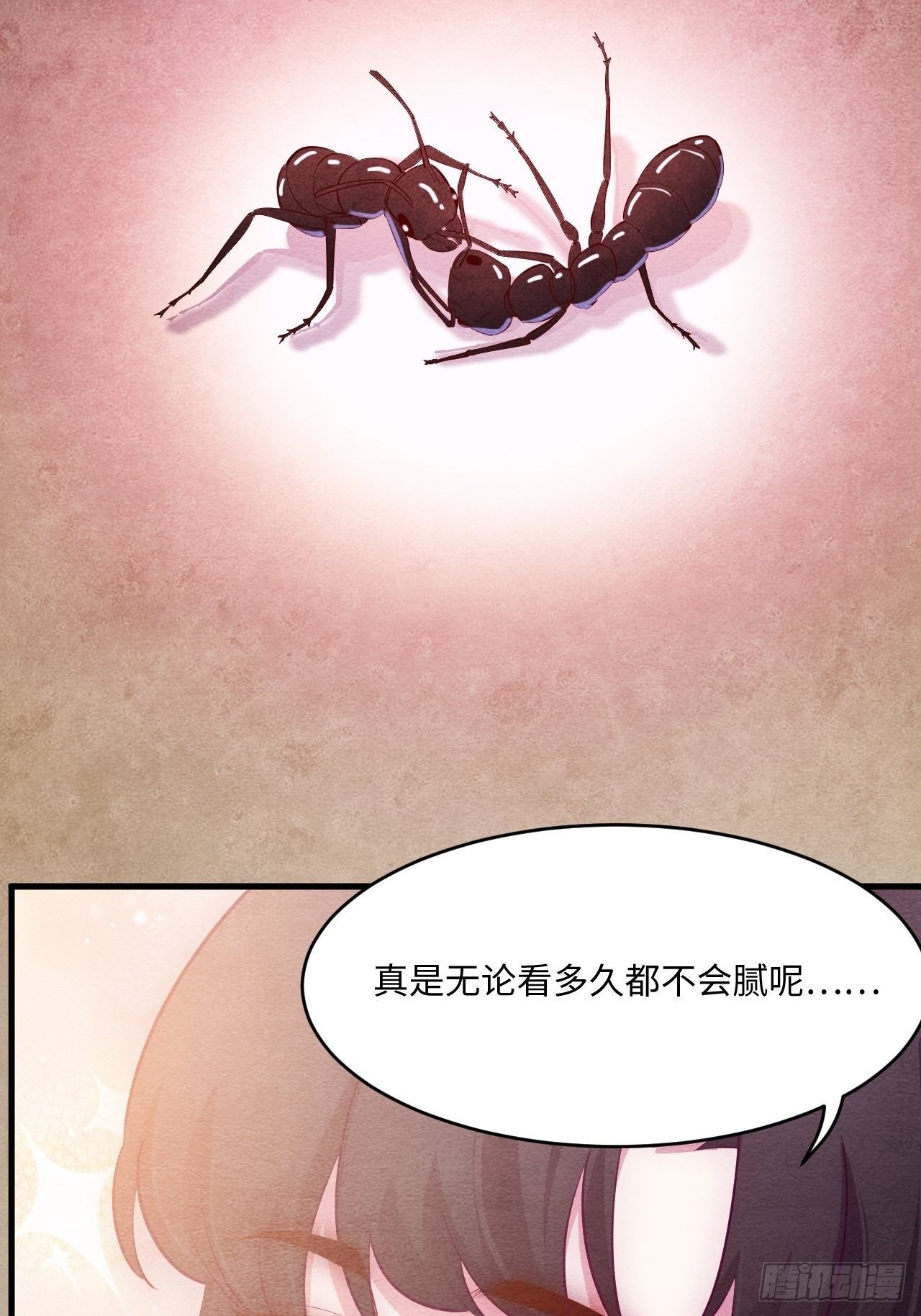 苏轶的饲养-1