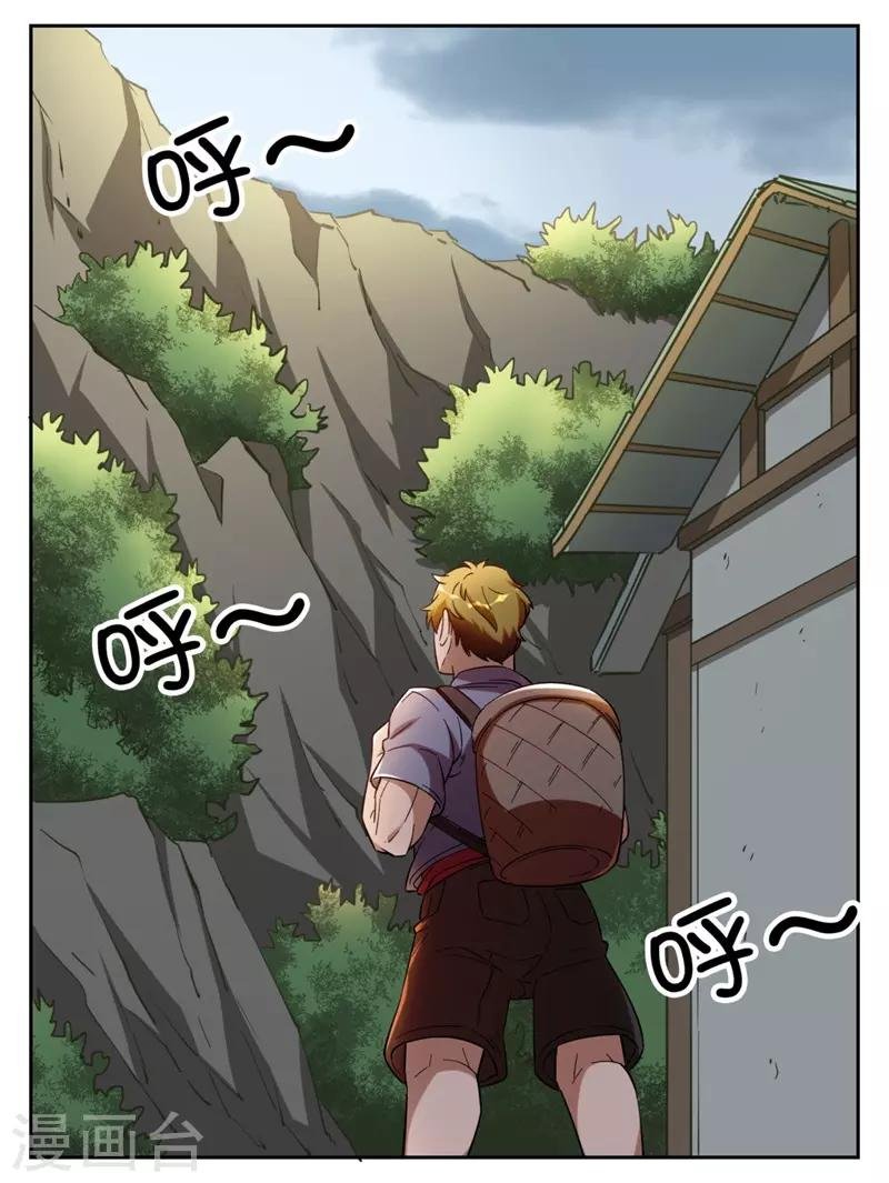 第7话 神奇的人参