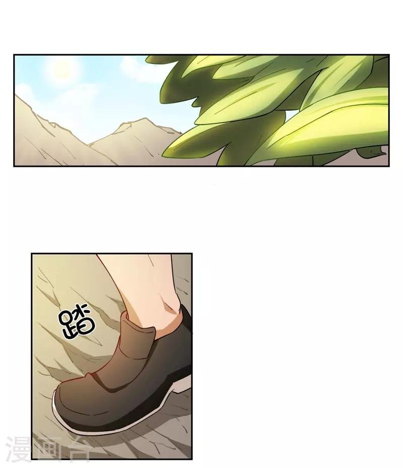 第7话 神奇的人参