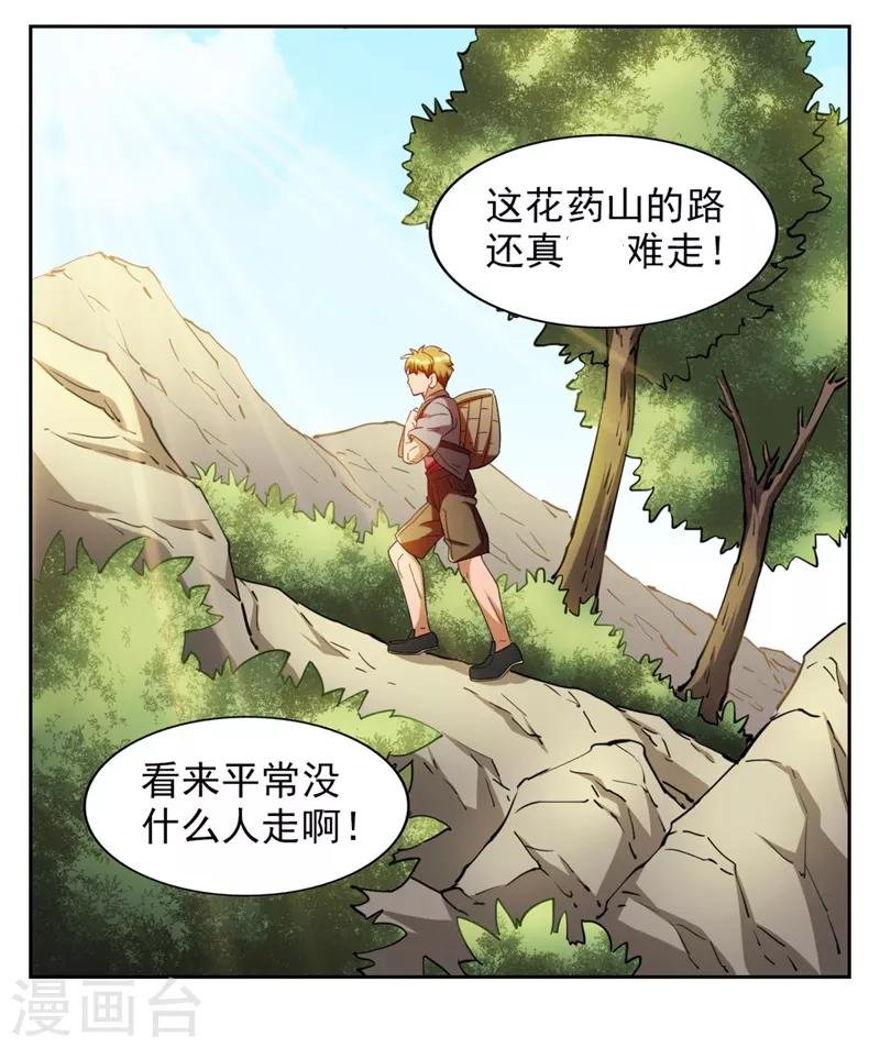第7话 神奇的人参