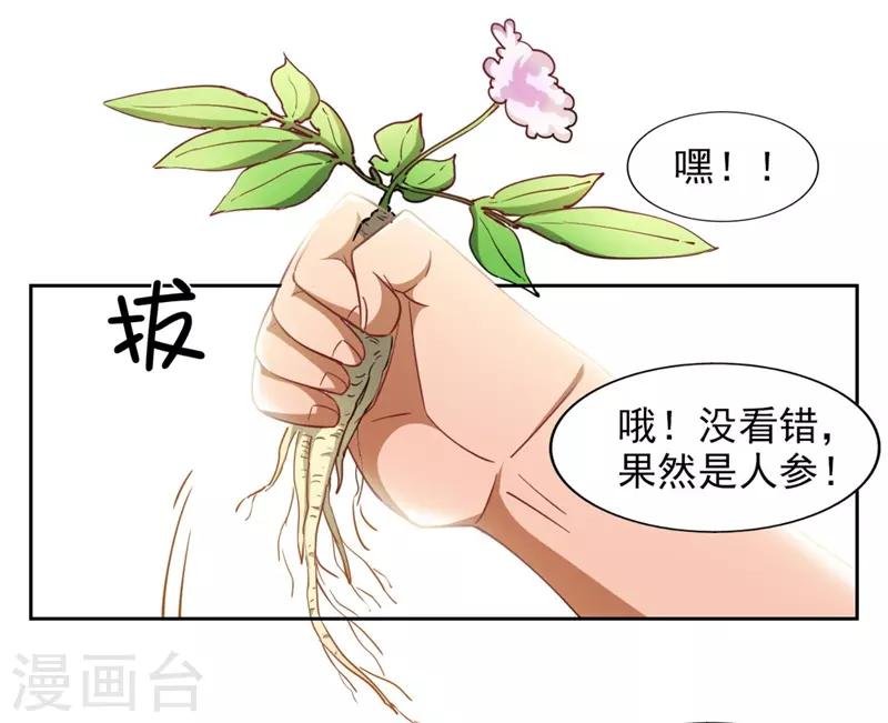 第7话 神奇的人参