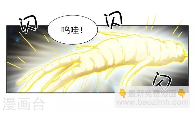 第7话 神奇的人参