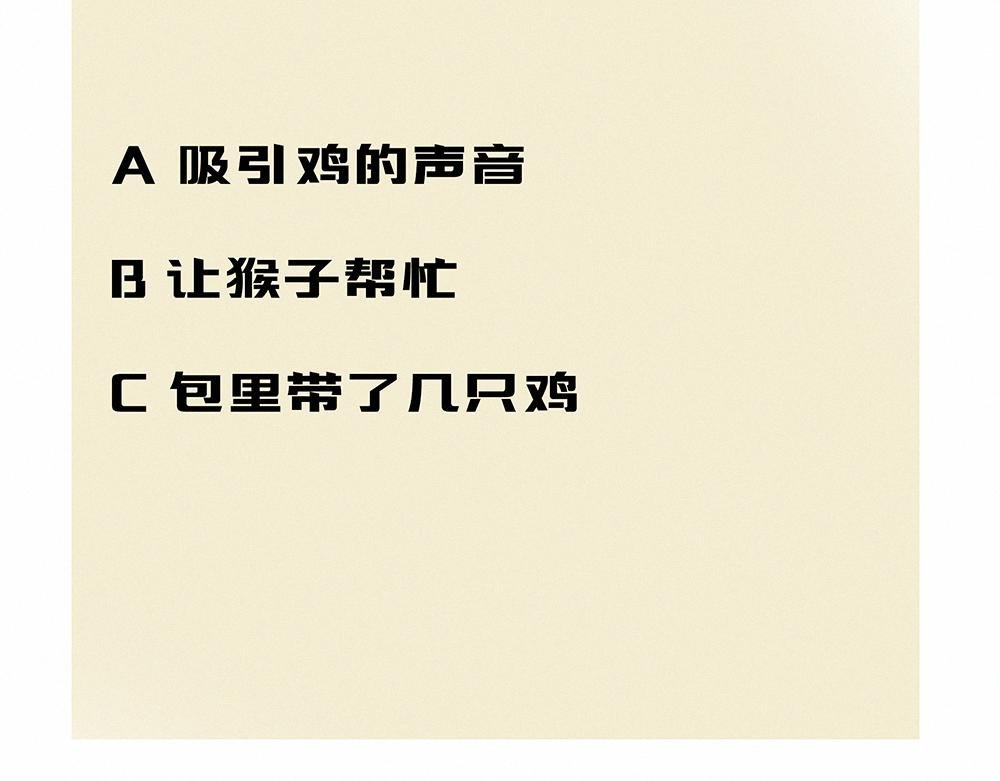 恋综？