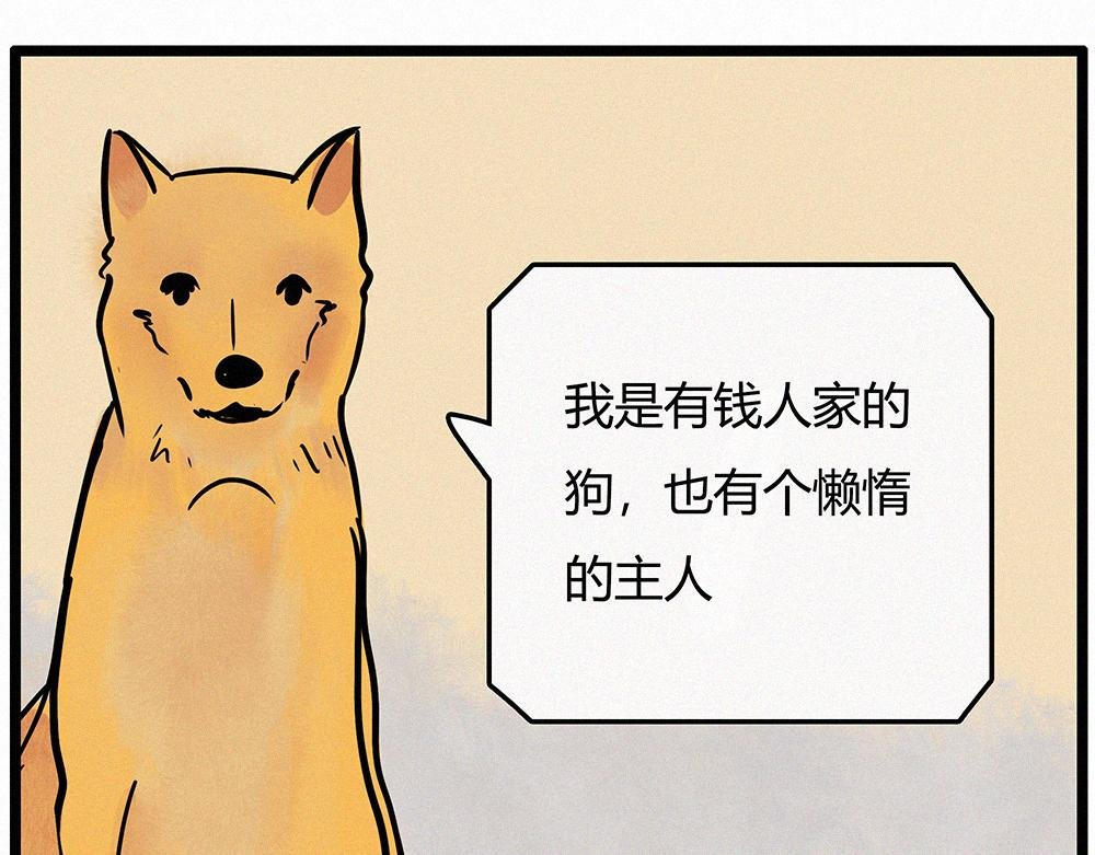 感恩节特辑