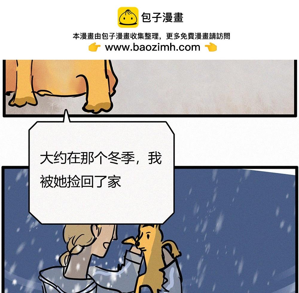 感恩节特辑