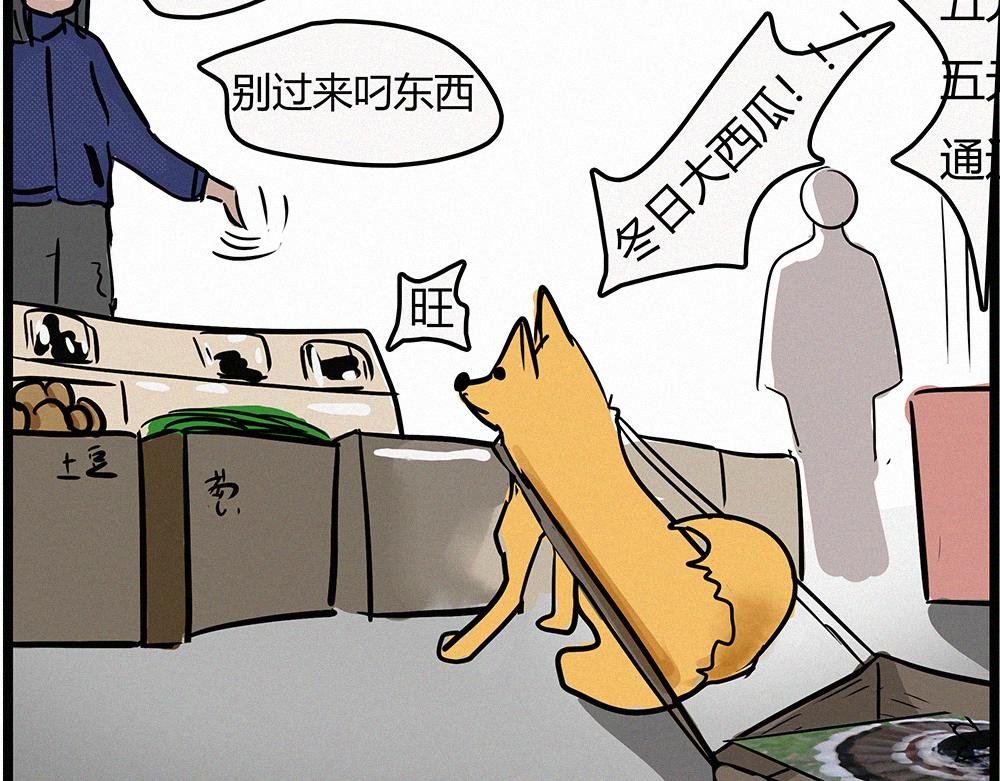 感恩节特辑