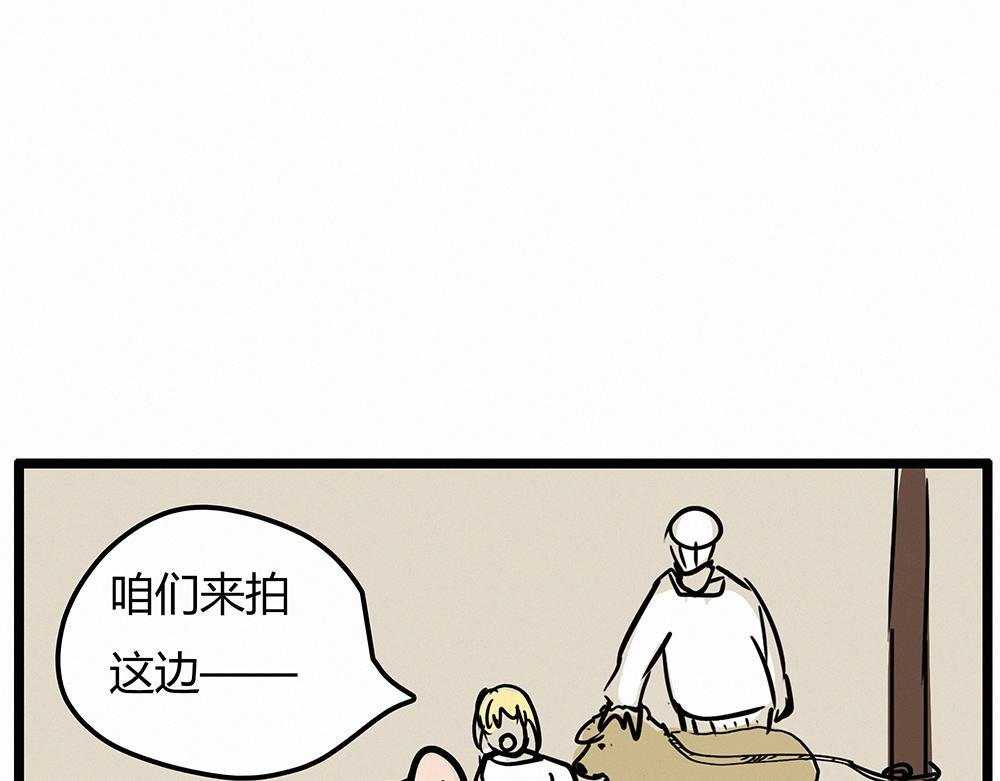 猴子屁股像苹果