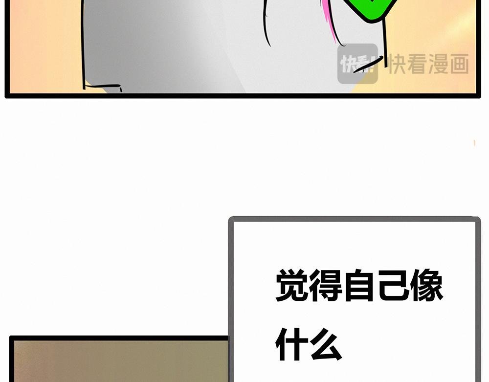 综艺，海岛 我来了