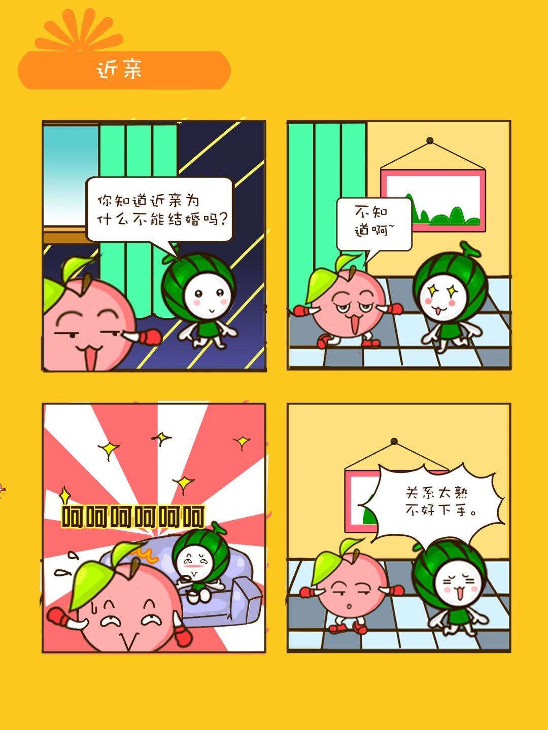 宠物对对碰 第15集