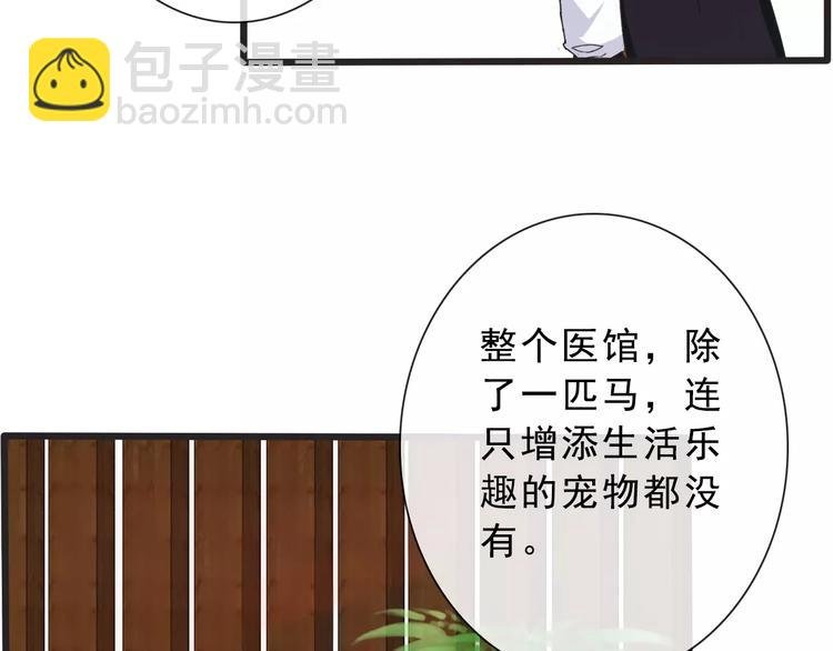 第14话 猫？