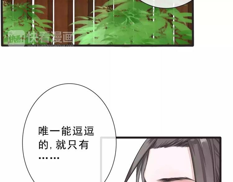 第14话 猫？