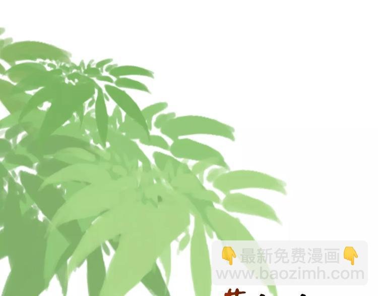 第14话 猫？