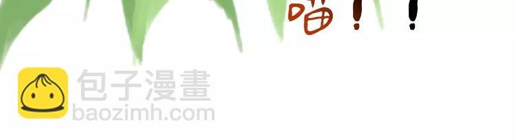 第14话 猫？