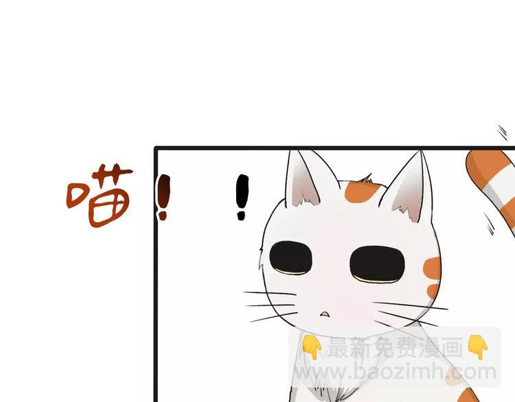 第14话 猫？