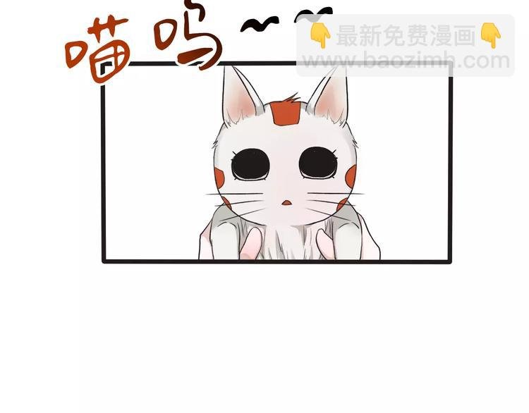 第14话 猫？