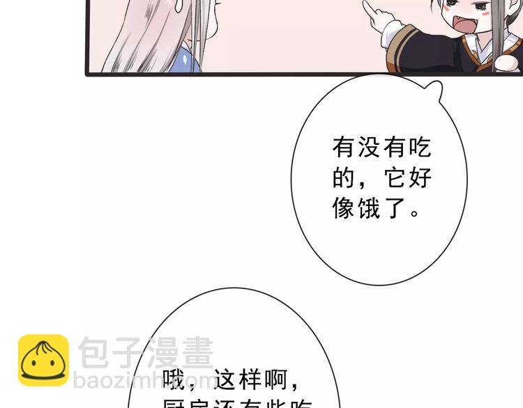 第14话 猫？