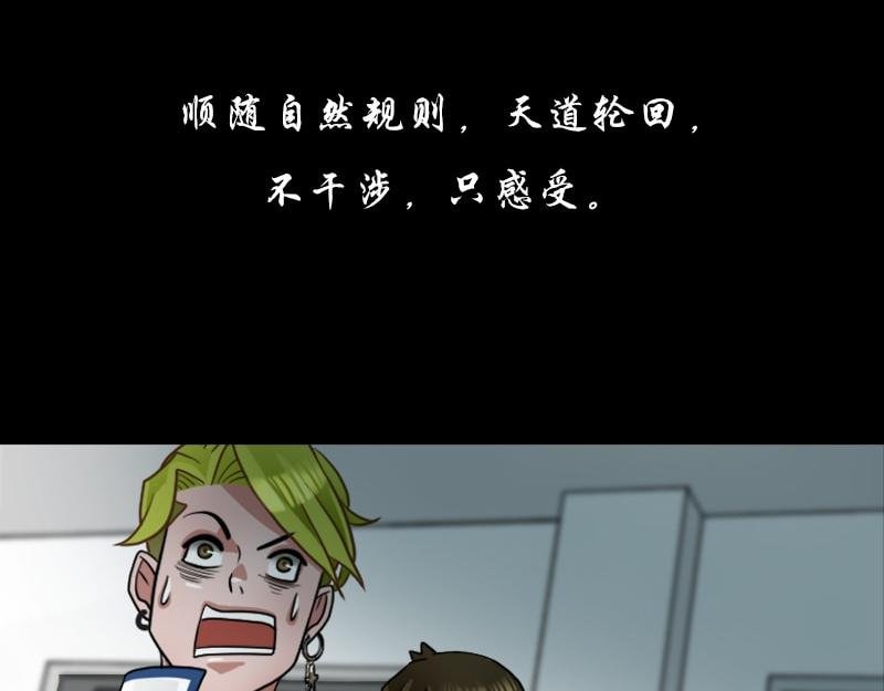 预告