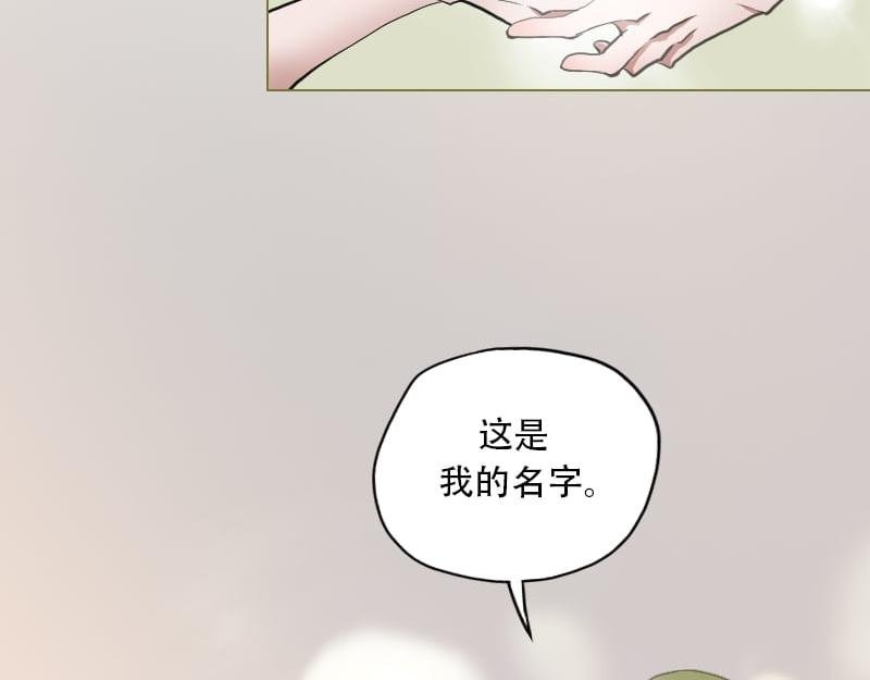 预告