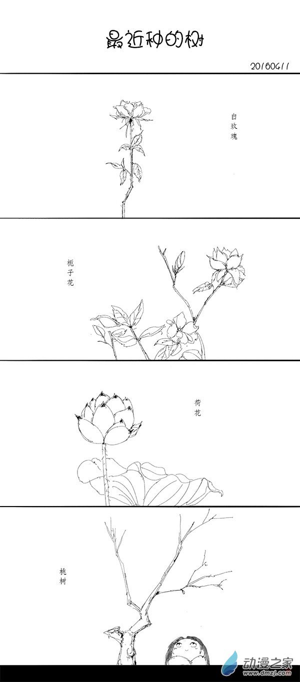 2016 丙申山下火年