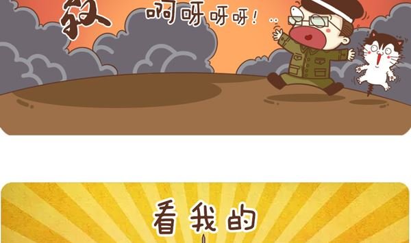 小喵的选择