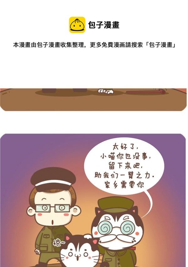 小喵的选择