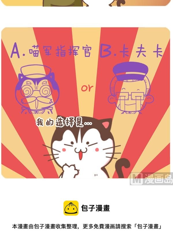 小喵的选择