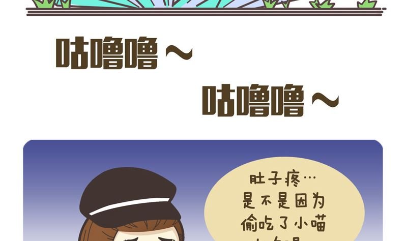 皮皮虾军团