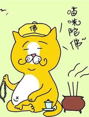 wuliandianfeng-pikapi