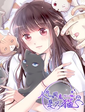 wuliandianfeng-pikapi