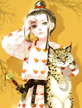 wuliandianfeng-pikapi