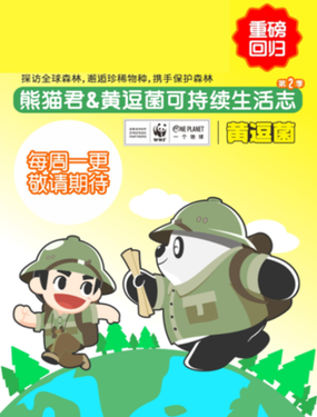 wuliandianfeng-pikapi