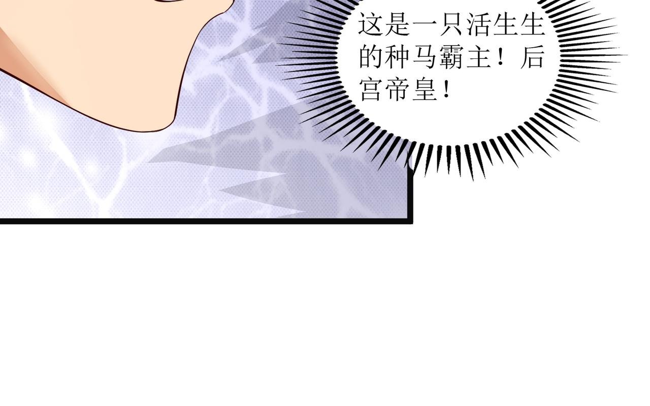 第五话 八点档豪门恩怨情感剧