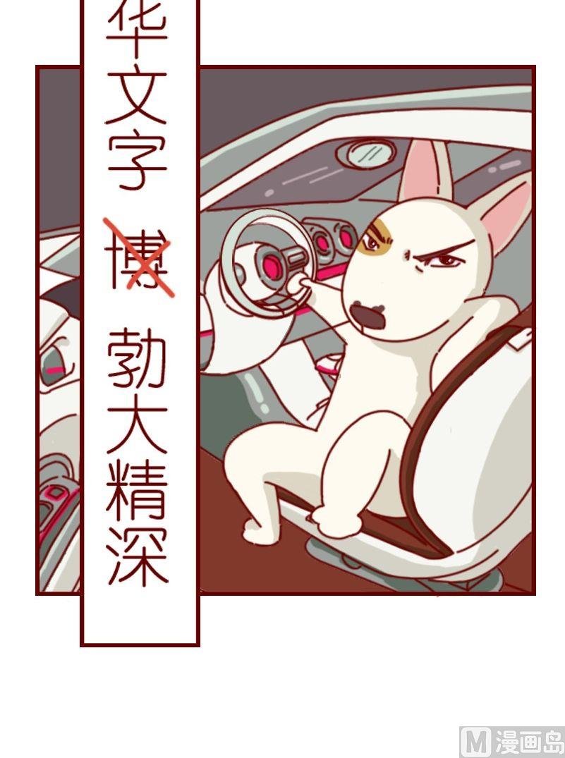 第十一话 中华文字