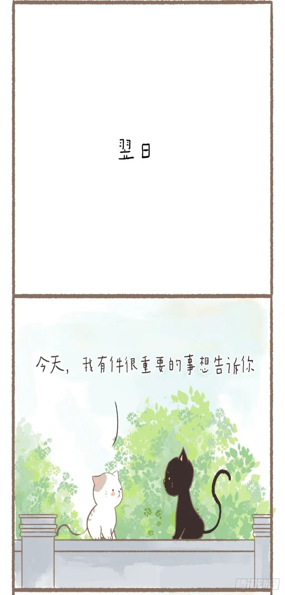 第十九章 我喜欢你